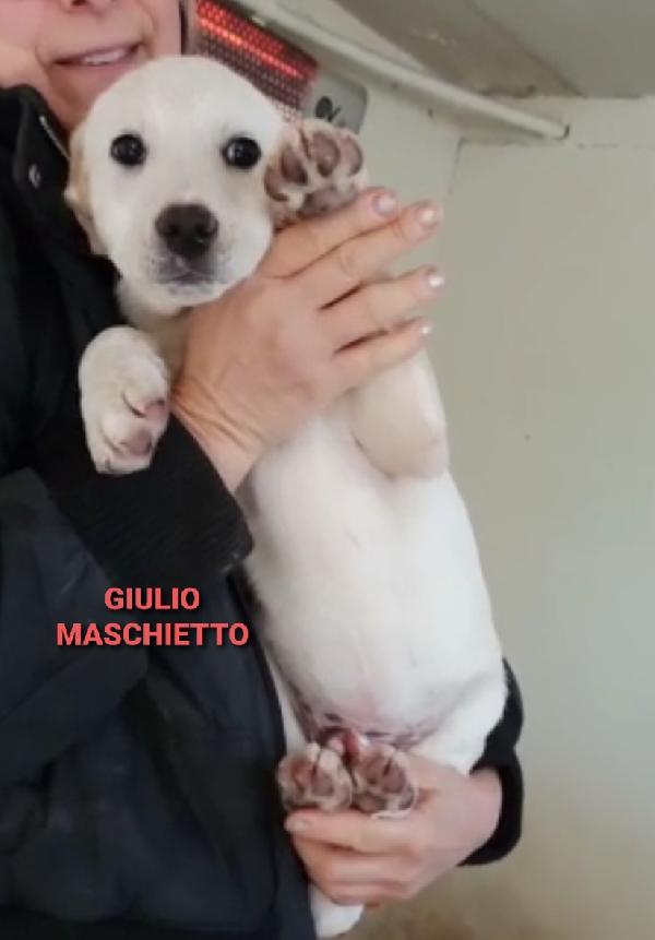 Giulio 2 Mesi